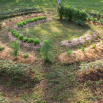 Profile photo of Permaculture News