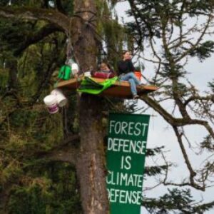 Profile photo of Forest Defenders