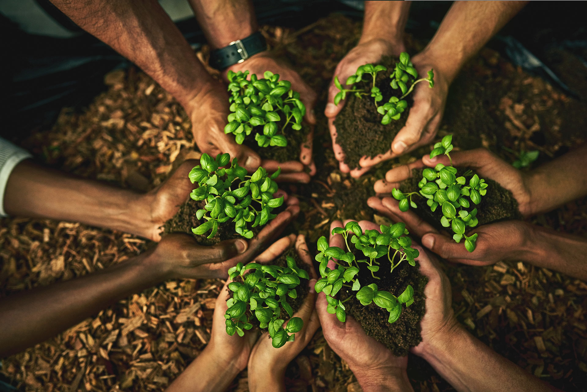 Group cover image