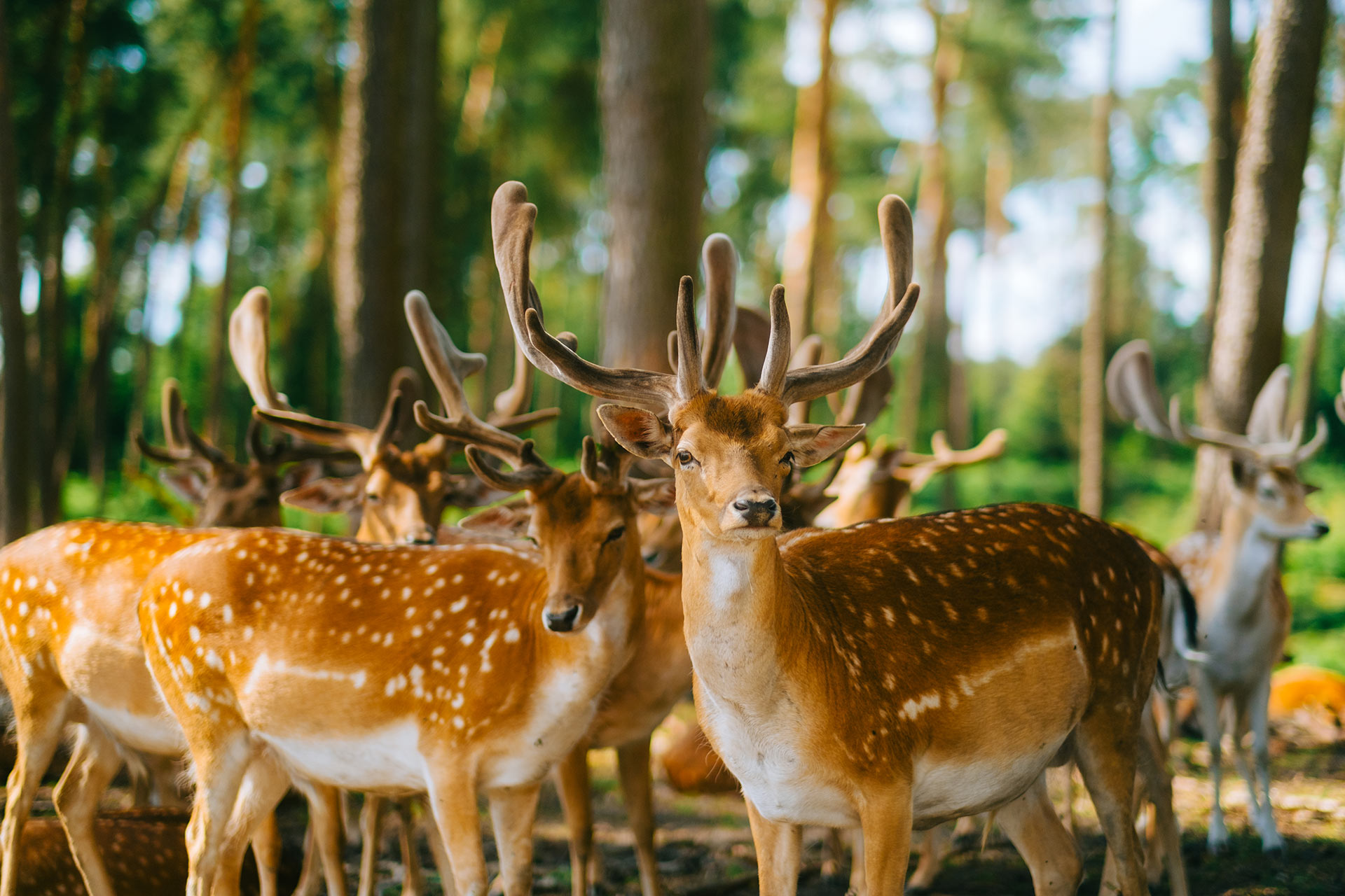Group cover image